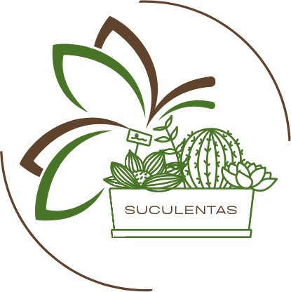 Suculentas